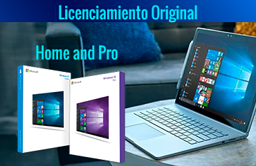 windows 10 home and pro
